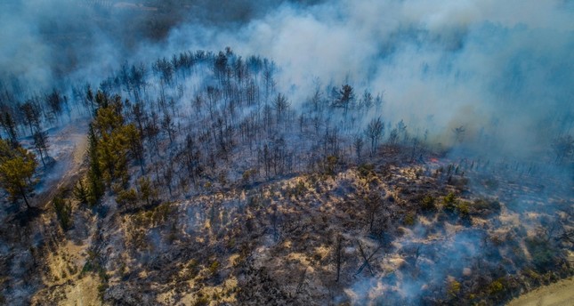 الحكومة الأوكرانية ترسل طائرتين لمساعدة تركيا في إطفاء حرائق الغابات