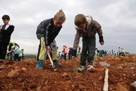 Children in Turkey's southern Mu?la province plant saplings as part of the National Forestation Day organized by the Ministry of Agriculture and Forestry on Nov. 11, 2019 (AA Photo)