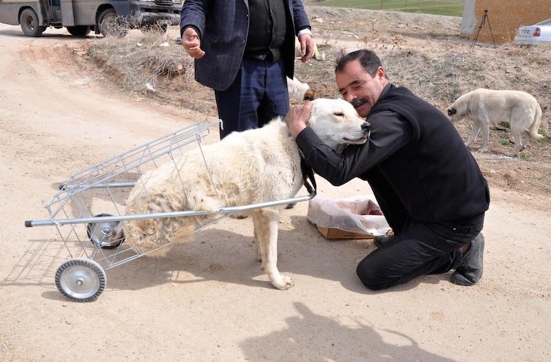 Anadolu Agency Photo 