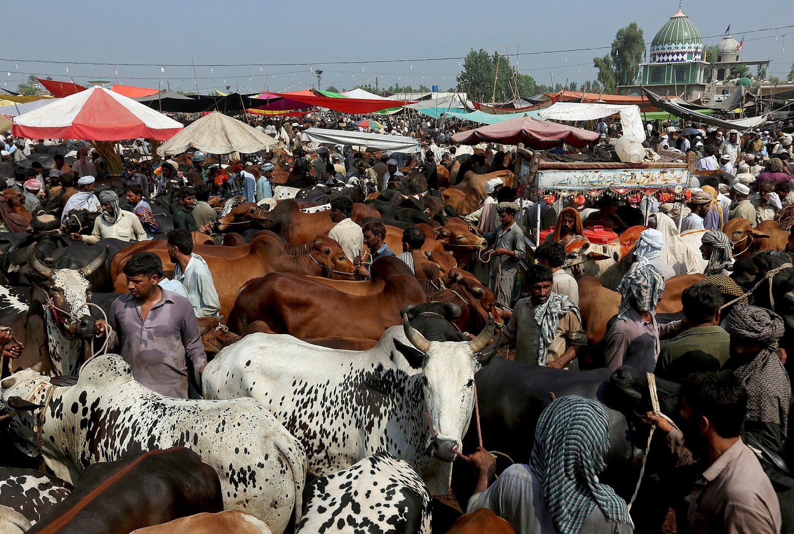 Over a billion Muslims around the world celebrate Eid al-Adha with joy