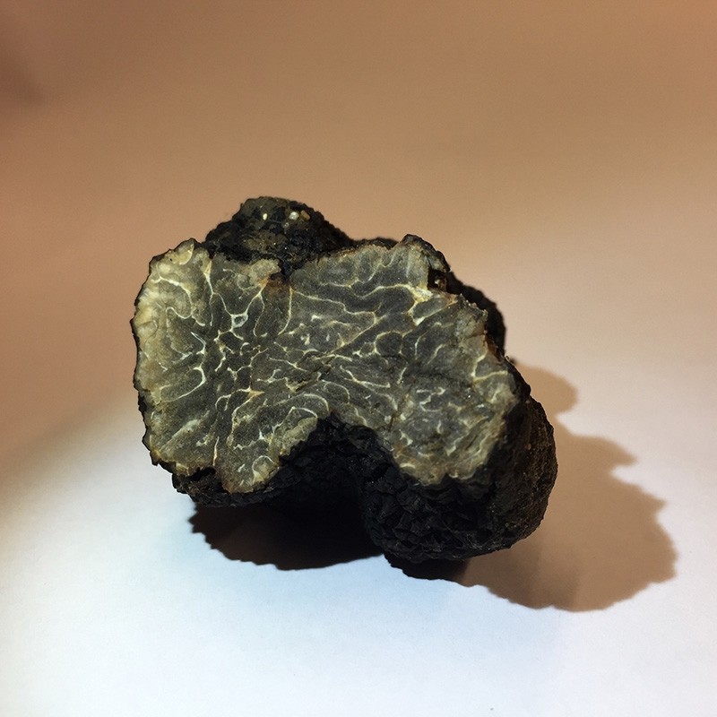 A handout picture released Dec. 22, 2017 by the press service of the French National Museum of Natural History shows a wild truffle, Tuber brumale, found on the green roof of an hotel in Paris. (AFP Photo)