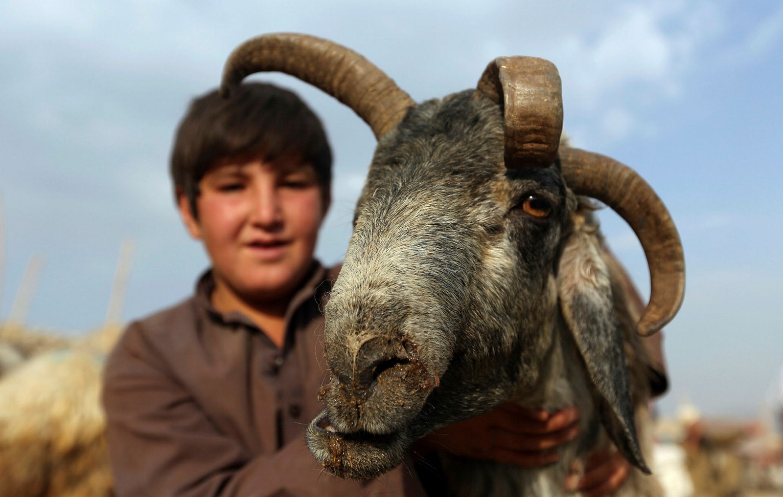 Over a billion Muslims around the world celebrate Eid al-Adha with joy