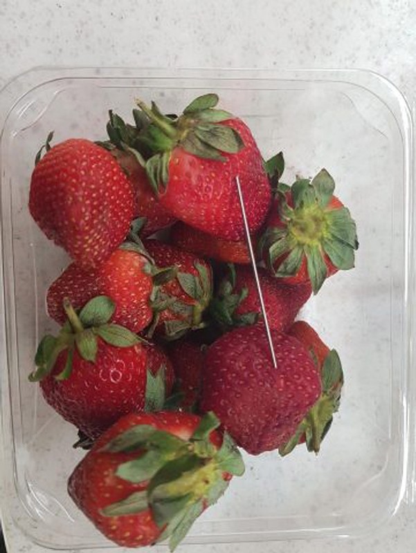 An undated handout photo made available by the Queensland Police on 14 September 2018 shows a thin piece of metal seen among a basket of strawberries in Gladstone, Queensland, Australia. (EPA Photo)