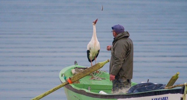 Adem Yılmaz and Yaren the stork pictured at Lake Uluabat in Turkey's Bursa province, March 1, 2019 (IHA Photo)