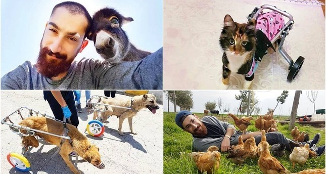 Mann in Mardin baut improvisierte Prothesen für Tiere