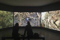 Arter curator Bau015fak Dou011fa Temu00fcr shines a profound light on one of Turkeyu2019s most accomplished video artists at the exhibition u201cIsle,u201d open until July 15.