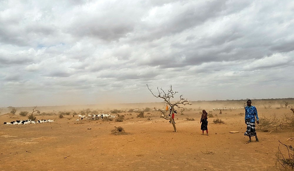 In this photo taken Sunday, Sept. 3, 2017, dust clouds blow across the parched landscape in the Danan district of the Somali region of Ethiopia. (AP Photo)
