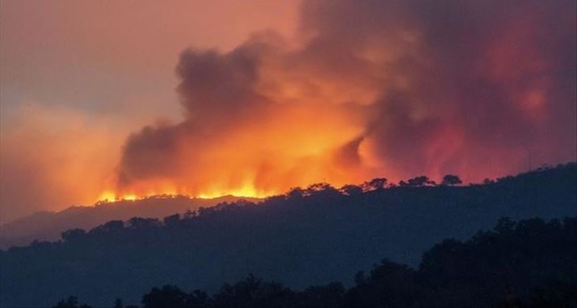 أستراليا تعلن حالة الطوارئ في ولايتين بسبب الحرائق