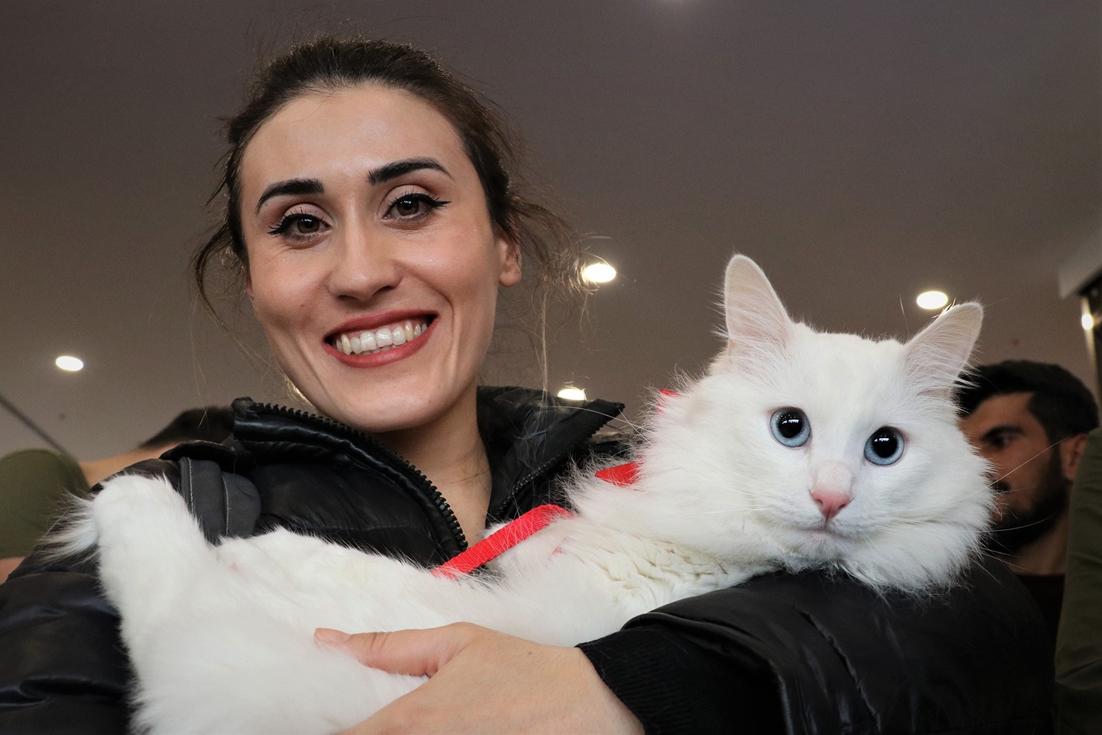 Van Cat Beauty Contest 2019