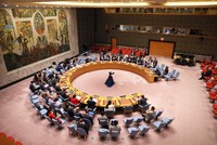 مجلس الأمن يرفض التحقيق حول برنامج أسلحة بيولوجية بأوكرانيا