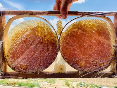 Turkey is the second largest honey producer in the world following China.