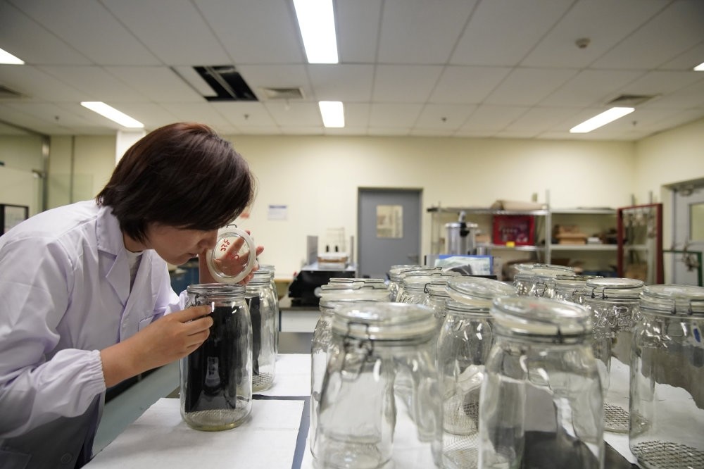 An employee conducts an u2018odor test' at the Polymer Laboratory at Ford's research and development center in Nanjing.
