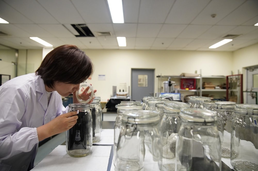An employee conducts an u2018odor test' at the Polymer Laboratory at Ford's research and development center in Nanjing.