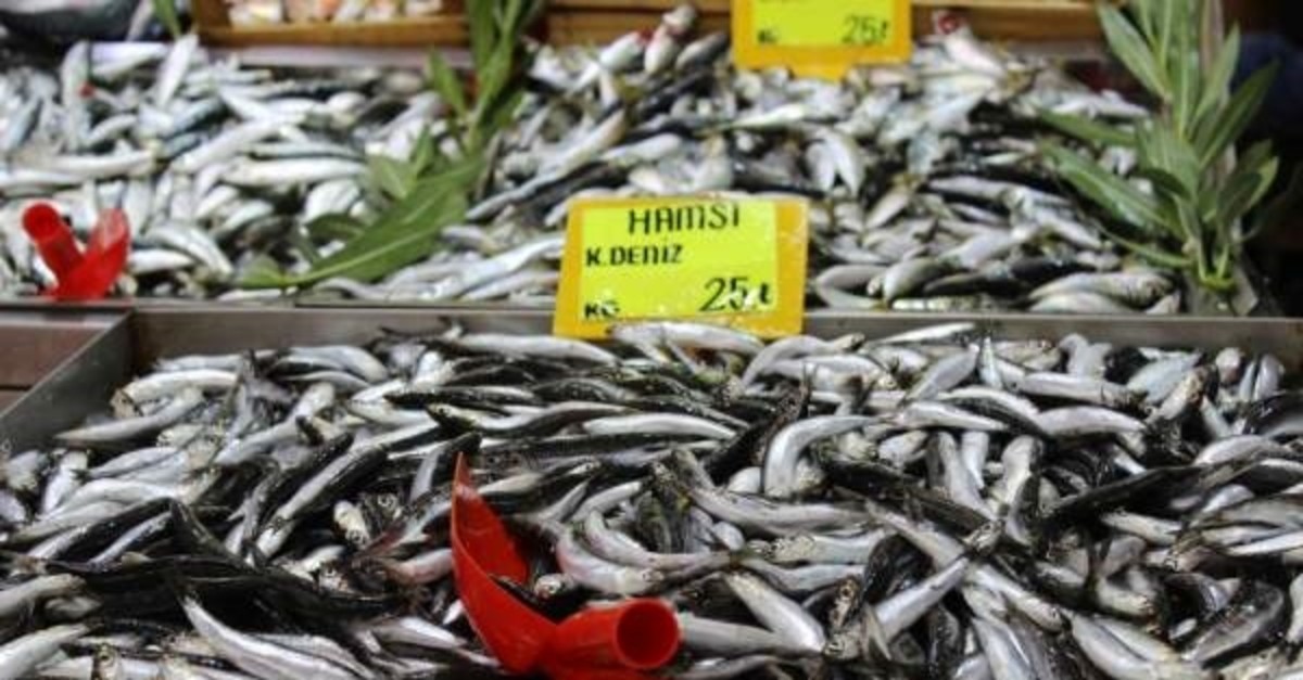 Anchovy on sale at a fish market in western city of u00c7anakkale (DHA Photo) 