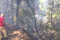 Firefighters spray water to cool off a charred part of the forest.