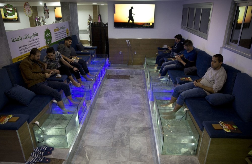 Palestinians soak their feet in tank stocked with fish at the cafe in Gaza City.