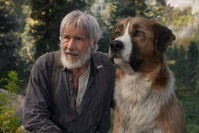 This undated image provided by 20th Century Fox shows actor Harrison Ford as John Thornton from the film ,The Call of the Wild., (AP Photo)