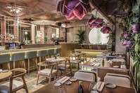 One of the foreign restaurant chains in Istanbul, Inari Omakase offers a stylish atmosphere with its flower-shaped lamps on the dining tables.