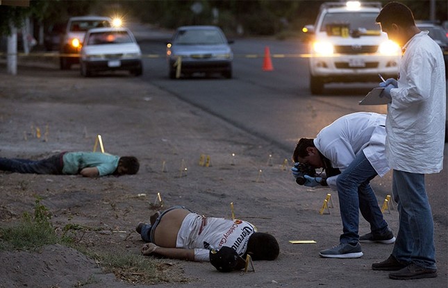 Essays on mexican drug cartels