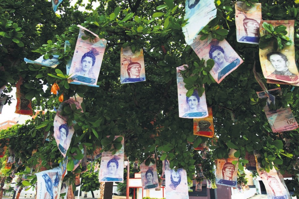 Bolivar notes hanging on a tree on a street in Maracaibo.