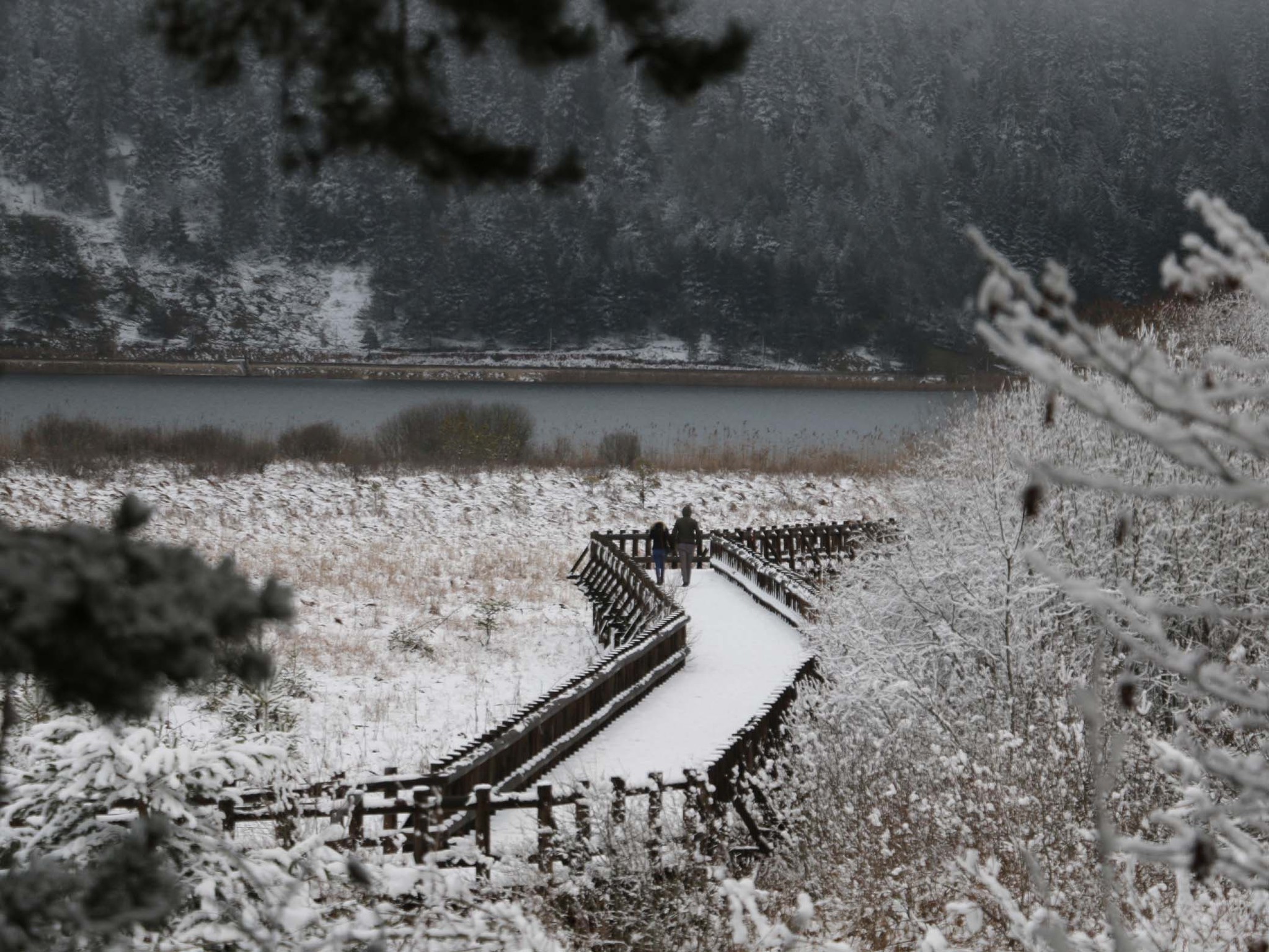 Lake Abant in winter.