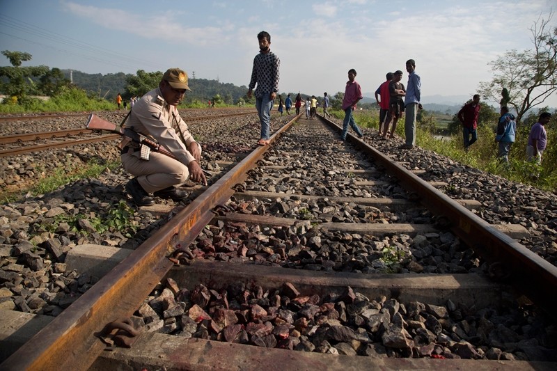 A forest official shows the spot where a speeding train hit two endangered Asian elephants and killed them in Thakur Kuchi village on the outskirts of Gauhati, Assam state, India ( AP Photo)