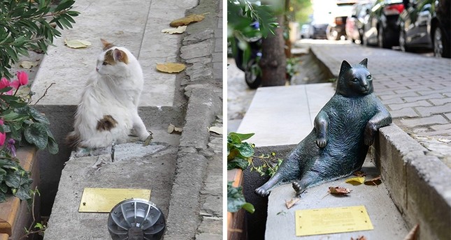 روسيا تعبر عن قلقها من اختفاء تمثال قطة إسطنبول الشهيرة تومبيلي