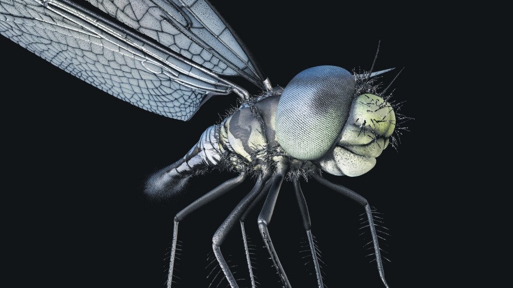 u201cIn the Eyes of the Animal,u201d by Marshmallow Laser Feast, is an immersive experience,  taking the viewer on a tour in a forest with topography rendered through the perspectives of four woodland species.