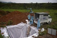 This photograph taken on May 27, 2019 shows health officials and veterinarians throwing a dead pig into an isolated quarantined pit in Hanoi to stop the spread of African Swine Fever (AFP Photo)