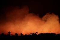 Weltweite Bestürzung über Waldbrände in Brasilien