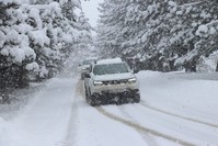 هطول كثيف للثلوج في فصل الربيع شهدته ولاية بولو شمالي تركيا الأناضول