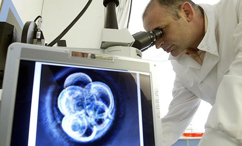 A scientist examines a human embryo (Photo by Owen Humphreys/PA Wire)