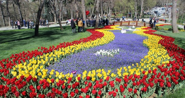 Tulip Festival in Istanbul