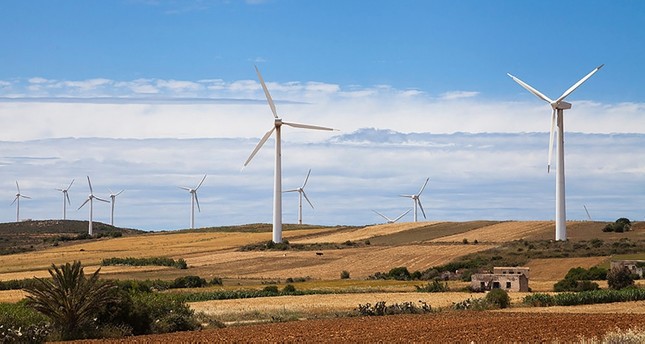 شركة تركية تعتزم إنتاج جميع أجزاء مولدات طاقة الرياح بالإمكانات المحلية
