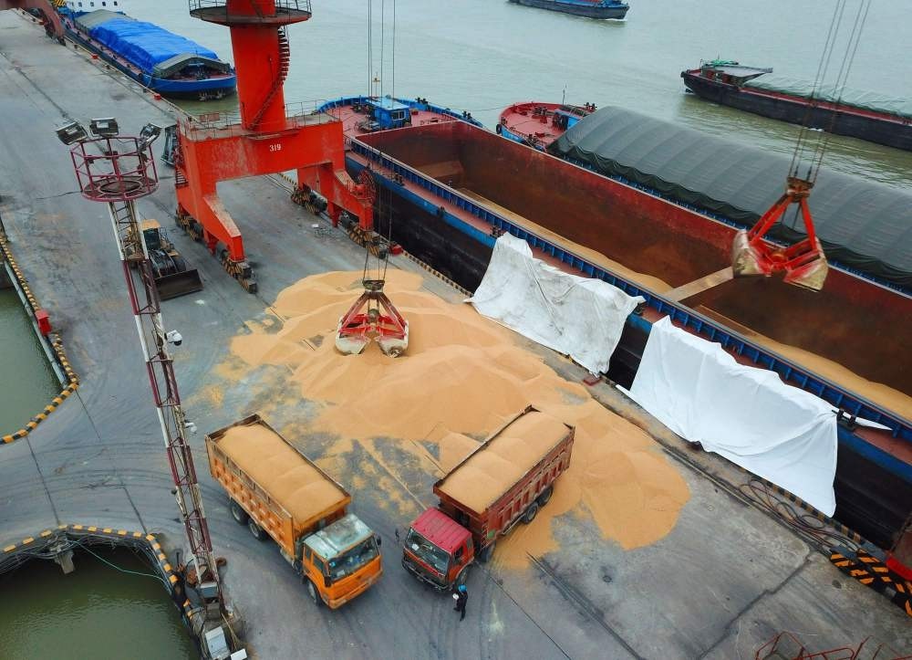Workers load imported soybeans onto trucks at a port in Nantong, Jiangsu, China, April 4.