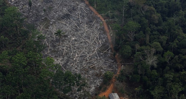 البرازيل تزايد تدمير غابات الأمازون بـ 278 في يوليو Daily