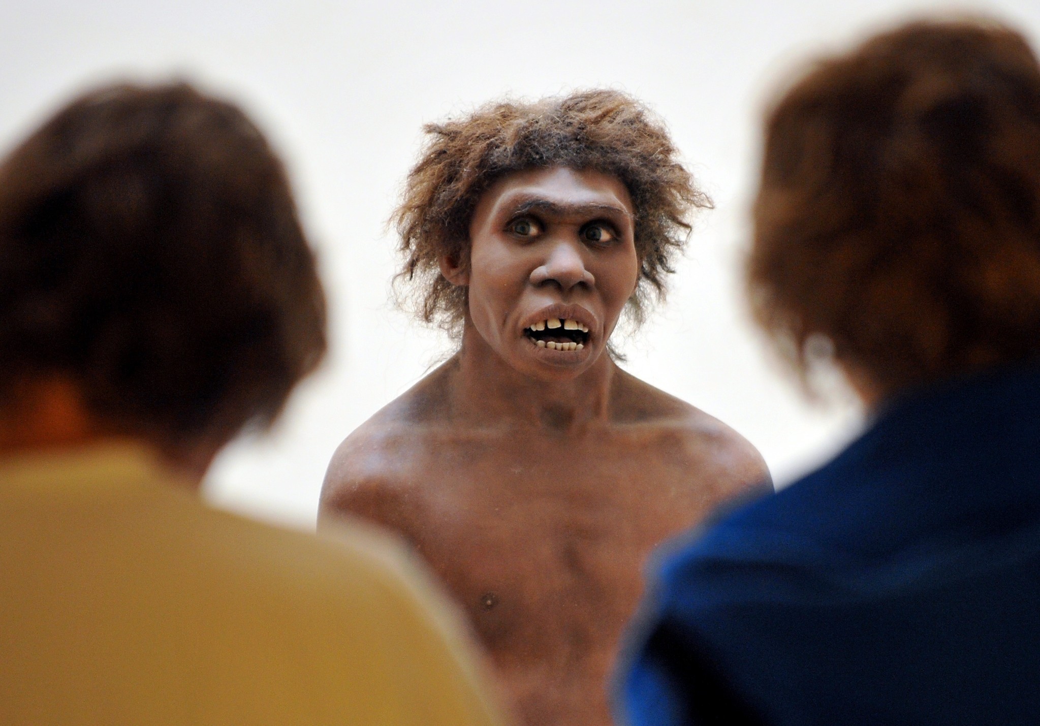 Homo Sapiens Social Abilities May Have Allowed Them To Outlast 