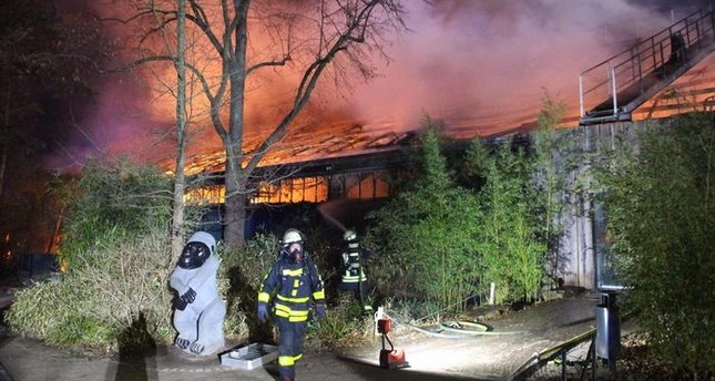 حريق بحديقة حيوان في ألمانيا يودي بحياة 30 قرد