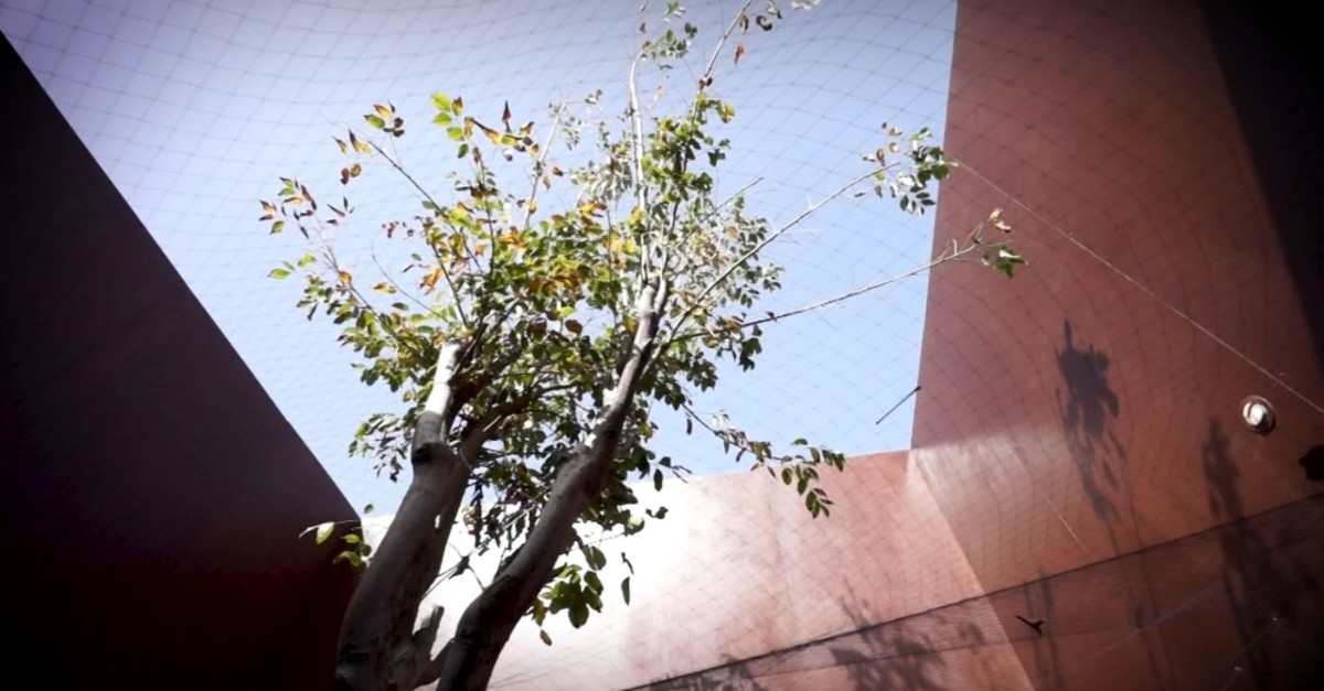 A still from Hale Tenger's ,Under.,