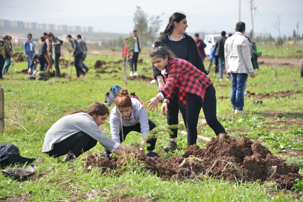 Students plant trees in southeastern city of Diyarbaku0131r's Kayapu0131nar district for a new forest.