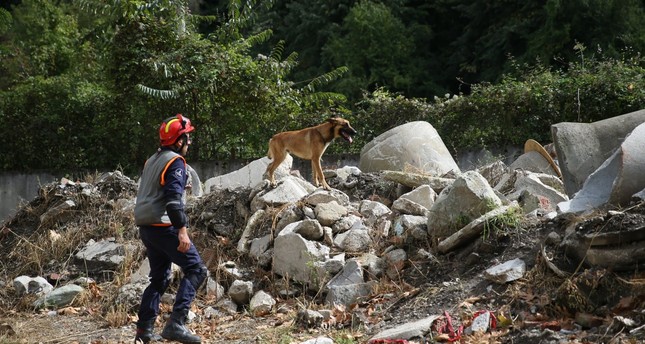 تدريب كلاب البحث والإنقاذ في مديرية الكوارث والطوارئ في سكاريا الأناضول