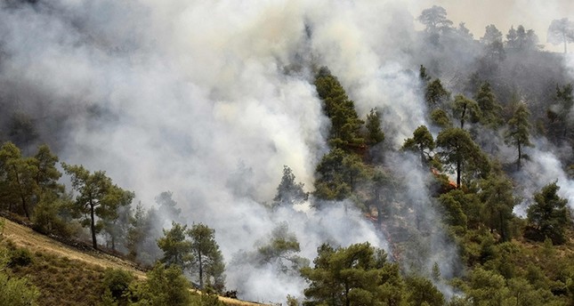 Waldbrand: Griechische Zyprioten nehmen türkische Hilfe an ...