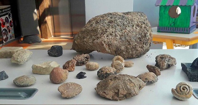 اكتشاف مستحاثات بحرية تعود إلى 15 مليون سنة في أنطاليا التركية