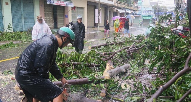 Image result for Typhoon Damrey kills at least 49 in Vietnam
