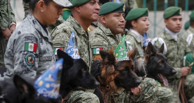 جنود وكلاب يحضرون حفل عيد الميلاد الأول لكلب الراعي الألماني أرقاداش في الوسط، الذي تبرعت به تركيا للمكسيك، في كامبو مارتي في مكسيكو سيتي، المكسيك، 7 يناير 2024. EPA