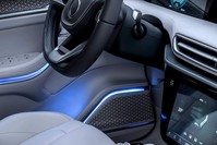 The SUV model of Turkey's first domestically produced fully electric car will be introduced in Informatics Valley located in northwestern Turkey's Kocaeli province.