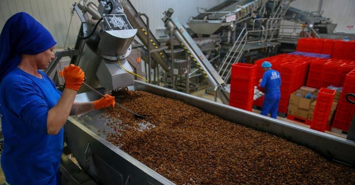 Raisin exports between Sept. 1 and Nov. 16 totaled nearly $162.71 million, recording a 9% year-on-year increase. (AA Photo)