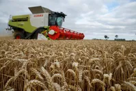 A farmer harvests wheat in Marquion, near Cambrai, France.