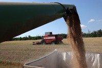 حصاد القمح في مزرعة بالقرب من كراماتورسك بمنطقة دونيتسك في 4 أغسطس 2023 الفرنسية