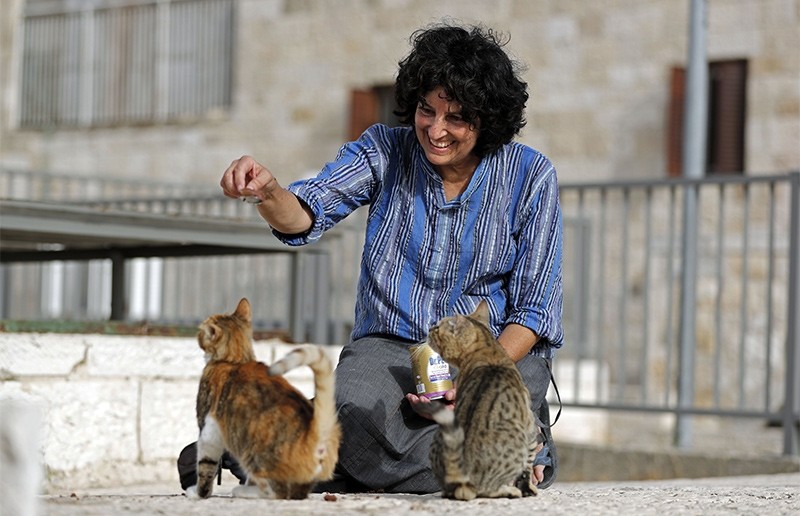 Jerusalem's 'cat lady' cares for hundreds of felines